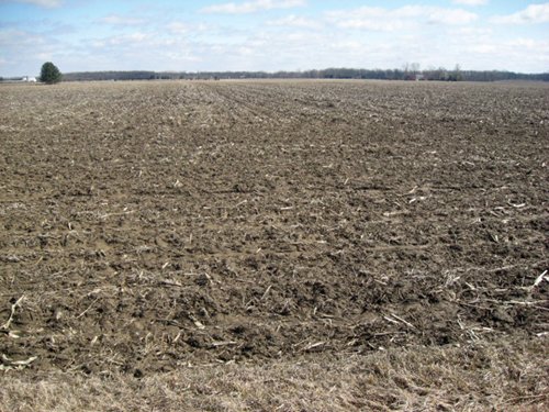 Property photo 18 - 127 Acres Offered in 4 Tracts
